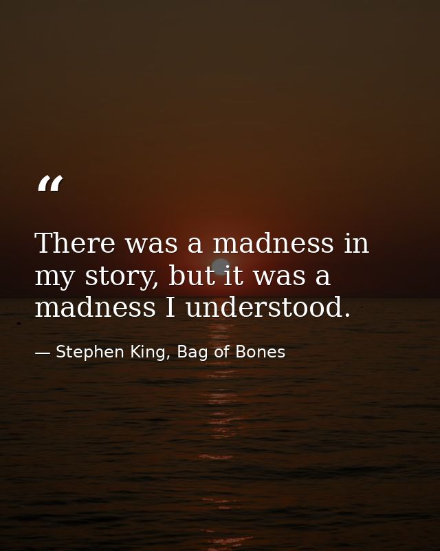 There was a madness in my story, but it was a madness I understood. — Stephen King, Bag of Bones