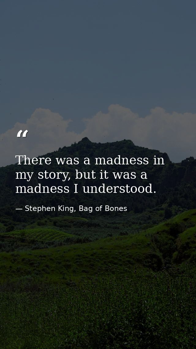 There was a madness in my story, but it was a madness I understood. — Stephen King, Bag of Bones