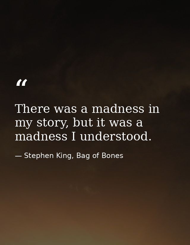 There was a madness in my story, but it was a madness I understood. — Stephen King, Bag of Bones