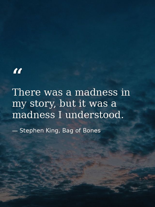 There was a madness in my story, but it was a madness I understood. — Stephen King, Bag of Bones