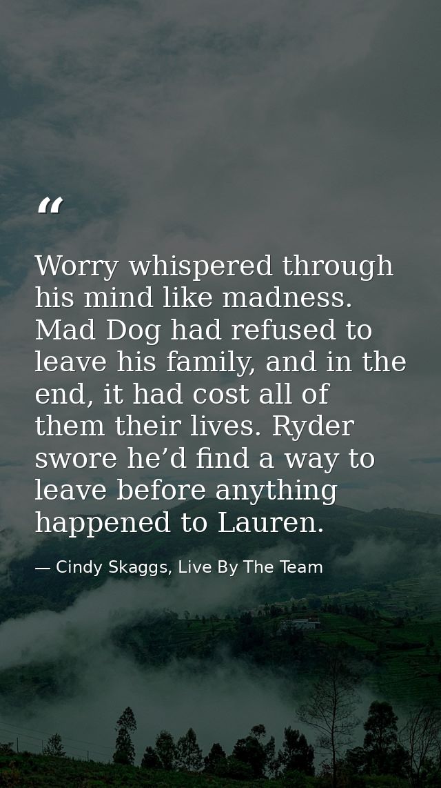 Worry whispered through his mind like madness. Mad Dog had refused to leave his family, and in the end, it had cost all  — Cindy Skaggs, Live By The Team