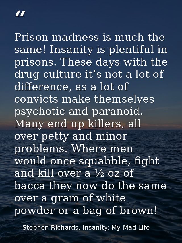 Prison madness is much the same! Insanity is plentiful in prisons. These days with the drug culture it’s not a lot of di — Stephen Richards, Insanity: My Mad Life