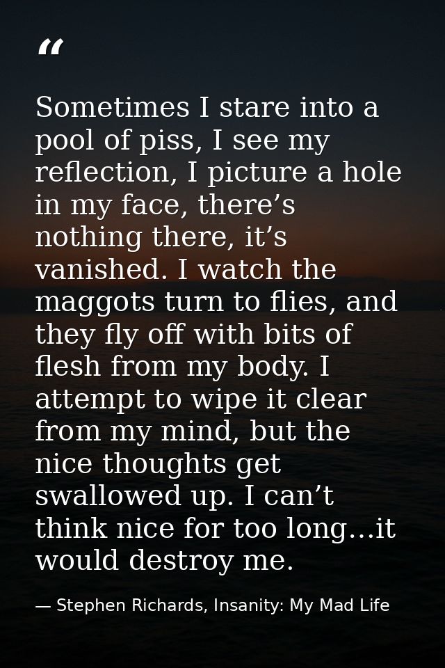 Sometimes I stare into a pool of piss, I see my reflection, I picture a hole in my face, there’s nothing there, it’s van — Stephen Richards, Insanity: My Mad Life