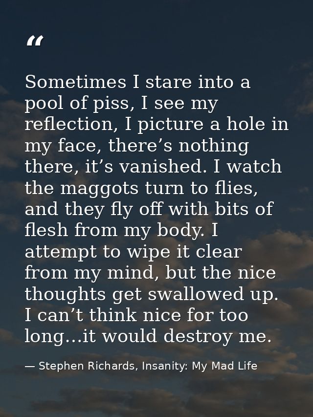 Sometimes I stare into a pool of piss, I see my reflection, I picture a hole in my face, there’s nothing there, it’s van — Stephen Richards, Insanity: My Mad Life