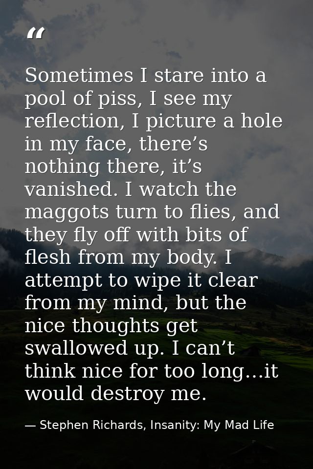Sometimes I stare into a pool of piss, I see my reflection, I picture a hole in my face, there’s nothing there, it’s van — Stephen Richards, Insanity: My Mad Life