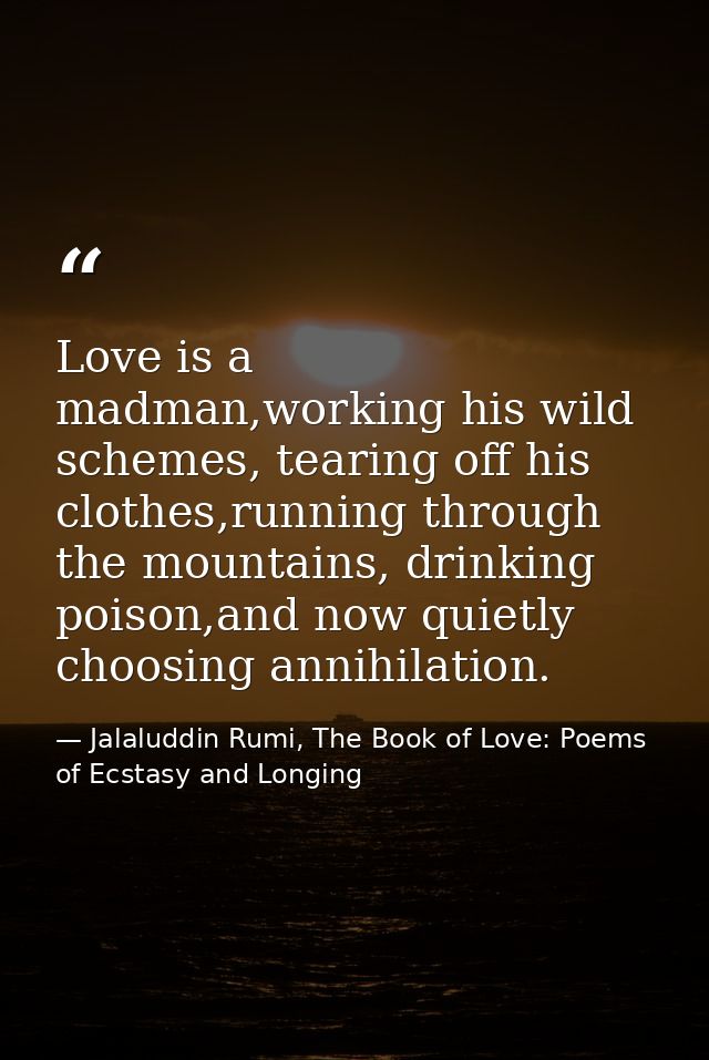 Love is a madman,working his wild schemes, tearing off his clothes,running through the mountains, drinking poison,and no — Jalaluddin Rumi, The Book of Love: Poems of Ecstasy and Longing