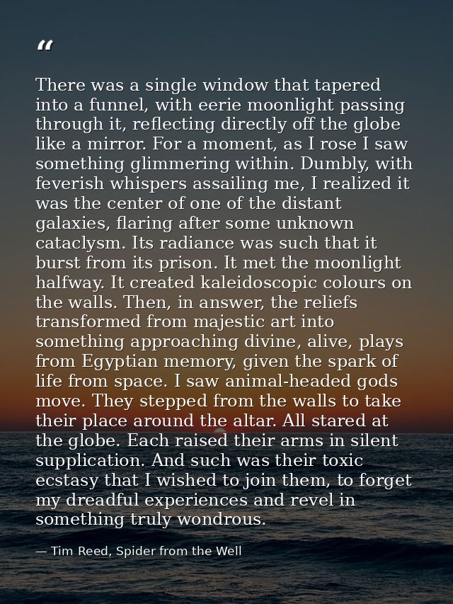 There was a single window that tapered into a funnel, with eerie moonlight passing through it, reflecting directly off t — Tim Reed, Spider from the Well