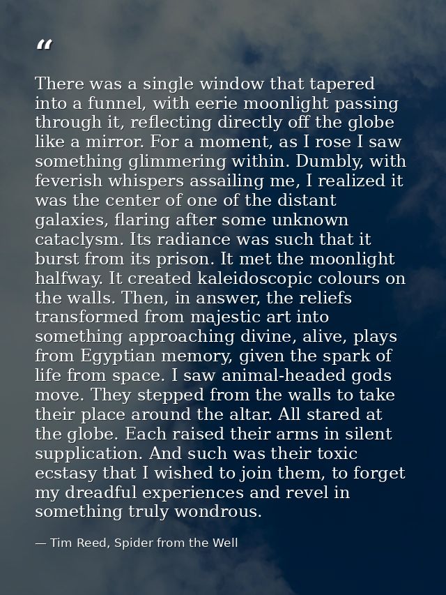 There was a single window that tapered into a funnel, with eerie moonlight passing through it, reflecting directly off t — Tim Reed, Spider from the Well