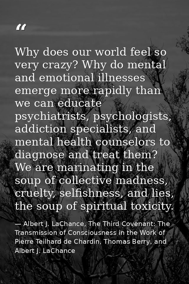 Why does our world feel so very crazy? Why do mental and emotional illnesses emerge more rapidly than we can educate psy — Albert J. LaChance, The Third Covenant: The Transmission of Consciousness in the Work of Pierre Teilhard de Chardin, Thomas Berry, and Albert J. LaChance