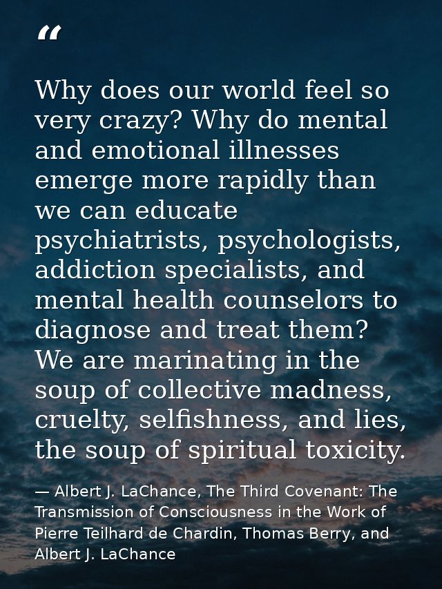 Why does our world feel so very crazy? Why do mental and emotional illnesses emerge more rapidly than we can educate psy — Albert J. LaChance, The Third Covenant: The Transmission of Consciousness in the Work of Pierre Teilhard de Chardin, Thomas Berry, and Albert J. LaChance