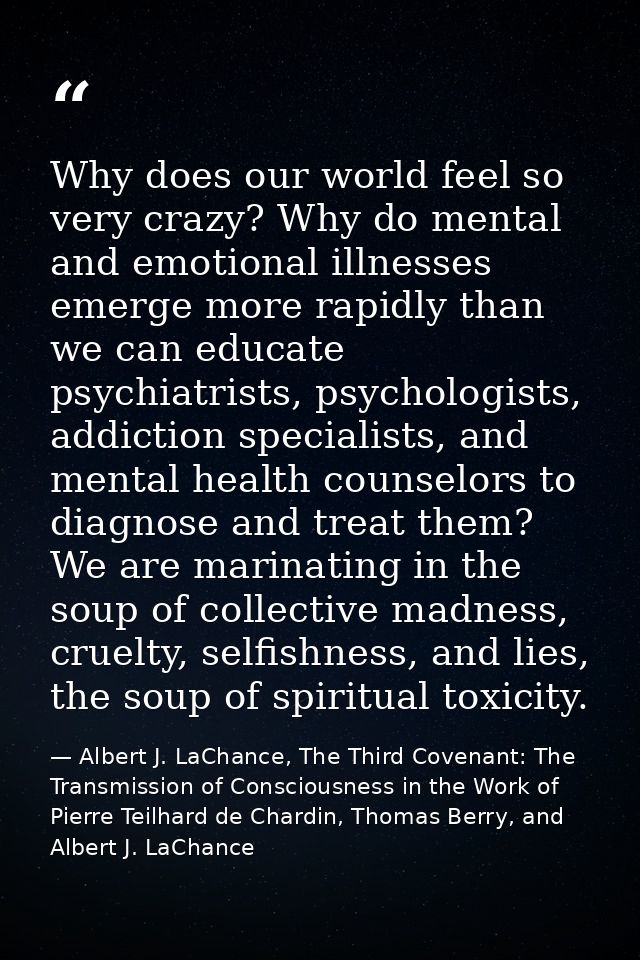 Why does our world feel so very crazy? Why do mental and emotional illnesses emerge more rapidly than we can educate psy — Albert J. LaChance, The Third Covenant: The Transmission of Consciousness in the Work of Pierre Teilhard de Chardin, Thomas Berry, and Albert J. LaChance