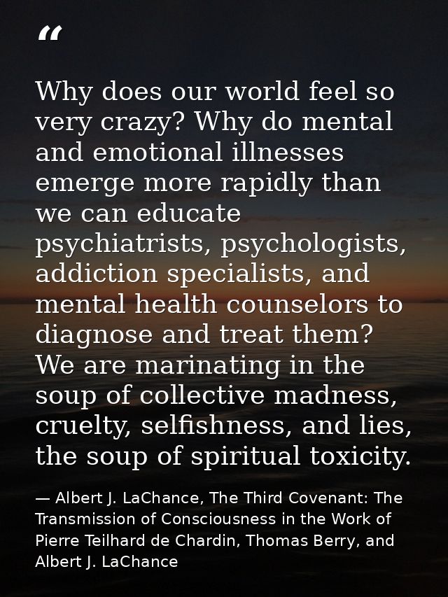 Why does our world feel so very crazy? Why do mental and emotional illnesses emerge more rapidly than we can educate psy — Albert J. LaChance, The Third Covenant: The Transmission of Consciousness in the Work of Pierre Teilhard de Chardin, Thomas Berry, and Albert J. LaChance