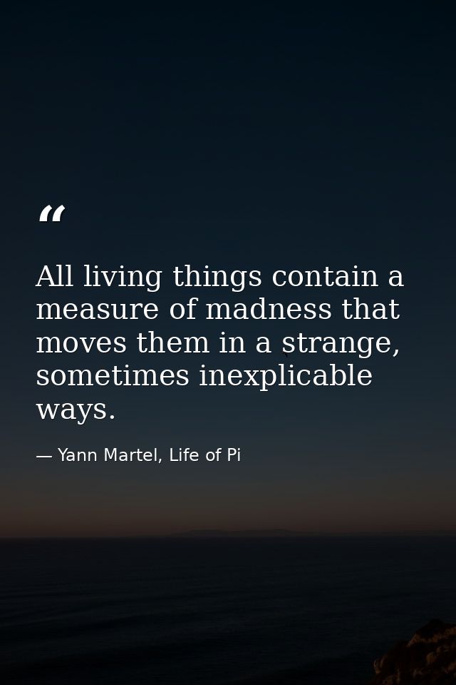 All living things contain a measure of madness that moves them in a strange, sometimes inexplicable ways. — Yann Martel, Life of Pi