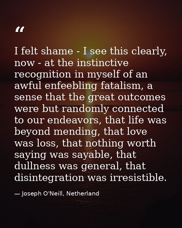 I felt shame - I see this clearly, now - at the instinctive recognition in myself of an awful enfeebling fatalism, a sen — Joseph O'Neill, Netherland