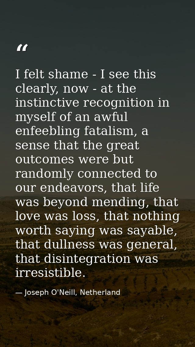 I felt shame - I see this clearly, now - at the instinctive recognition in myself of an awful enfeebling fatalism, a sen — Joseph O'Neill, Netherland