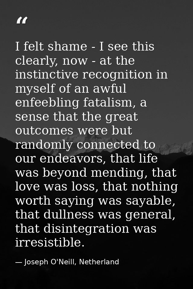 I felt shame - I see this clearly, now - at the instinctive recognition in myself of an awful enfeebling fatalism, a sen — Joseph O'Neill, Netherland