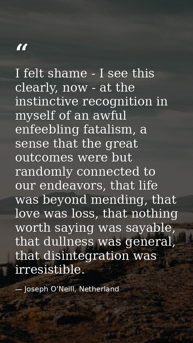 I felt shame - I see this clearly, now - at the instinctive recognition in myself of an awful enfeebling fatalism, a sen — Joseph O'Neill, Netherland