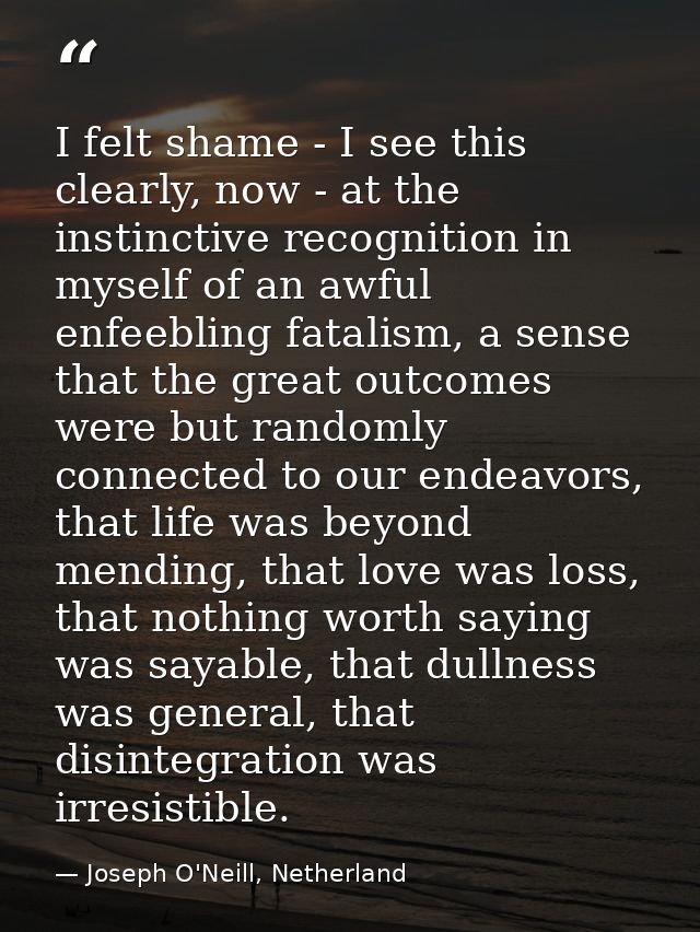 I felt shame - I see this clearly, now - at the instinctive recognition in myself of an awful enfeebling fatalism, a sen — Joseph O'Neill, Netherland