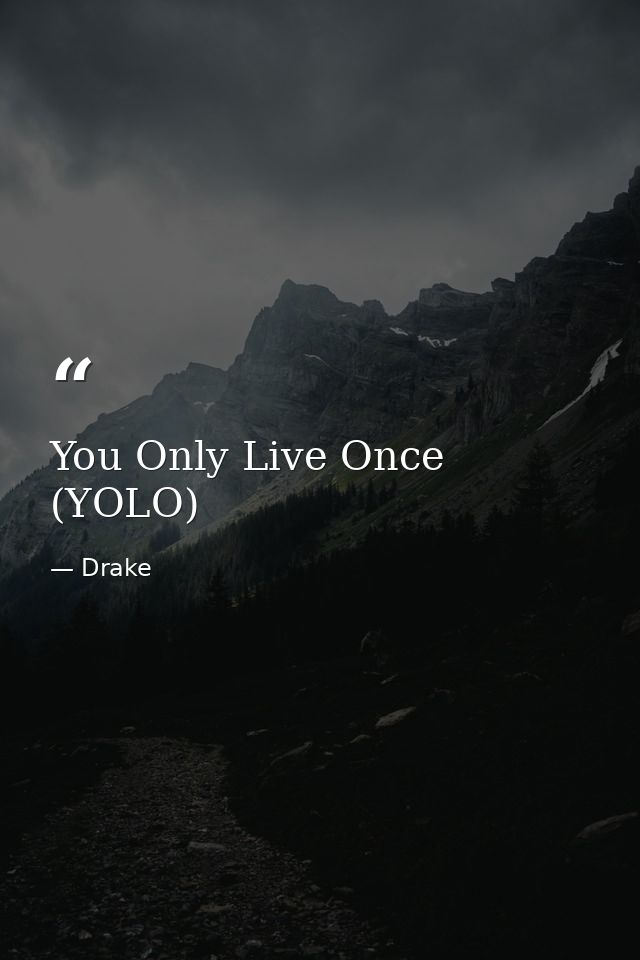 You Only Live Once (YOLO) — Drake