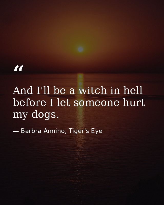 And I'll be a witch in hell before I let someone hurt my dogs. — Barbra Annino, Tiger's Eye
