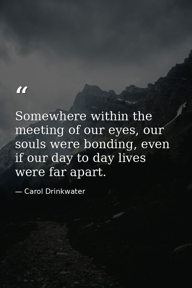 Somewhere within the meeting of our eyes, our souls were bonding, even if our day to day lives were far apart. — Carol Drinkwater