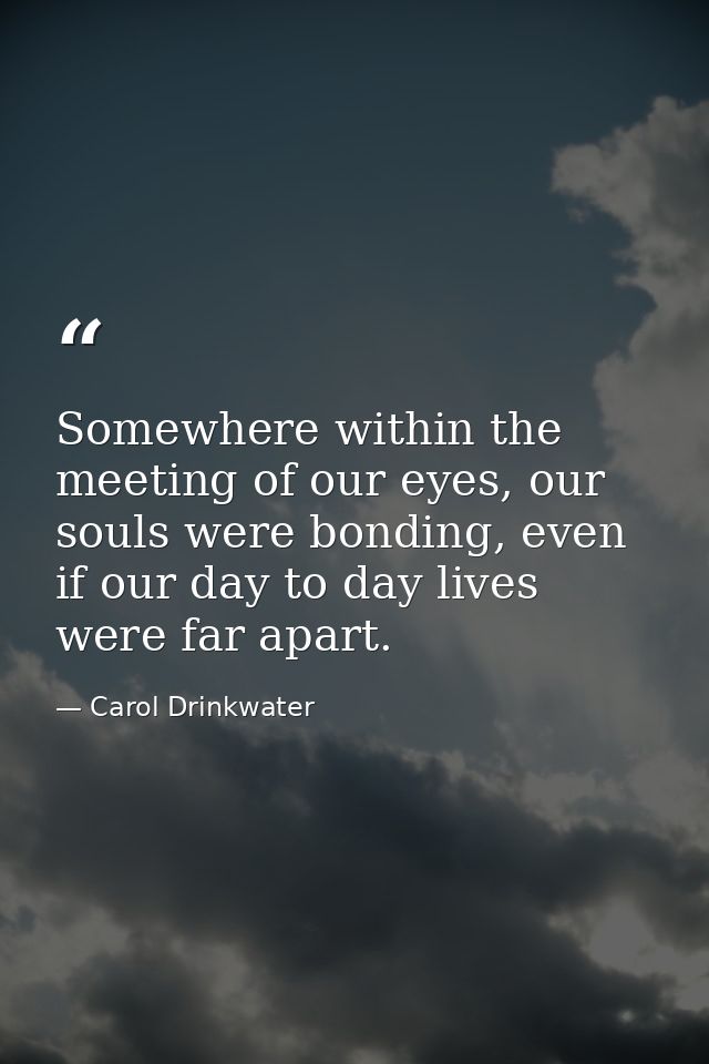 Somewhere within the meeting of our eyes, our souls were bonding, even if our day to day lives were far apart. — Carol Drinkwater