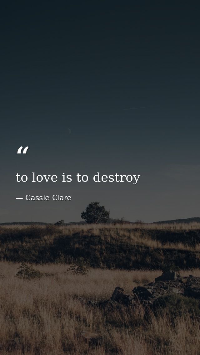 to love is to destroy — Cassie Clare
