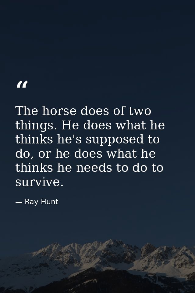 The horse does of two things. He does what he thinks he's supposed to do, or he does what he thinks he needs to do to su — Ray Hunt