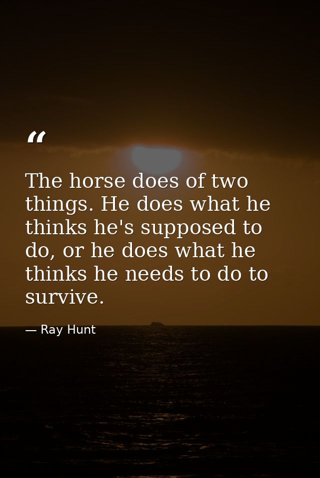 The horse does of two things. He does what he thinks he's supposed to do, or he does what he thinks he needs to do to su — Ray Hunt