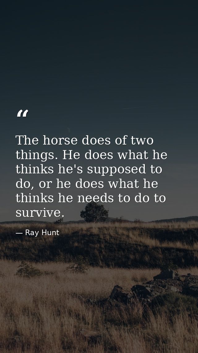 The horse does of two things. He does what he thinks he's supposed to do, or he does what he thinks he needs to do to su — Ray Hunt