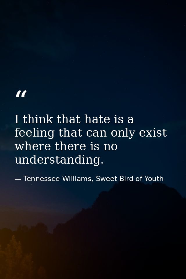 I think that hate is a feeling that can only exist where there is no understanding. — Tennessee Williams, Sweet Bird of Youth