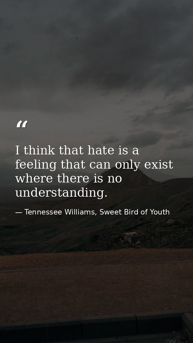 I think that hate is a feeling that can only exist where there is no understanding. — Tennessee Williams, Sweet Bird of Youth