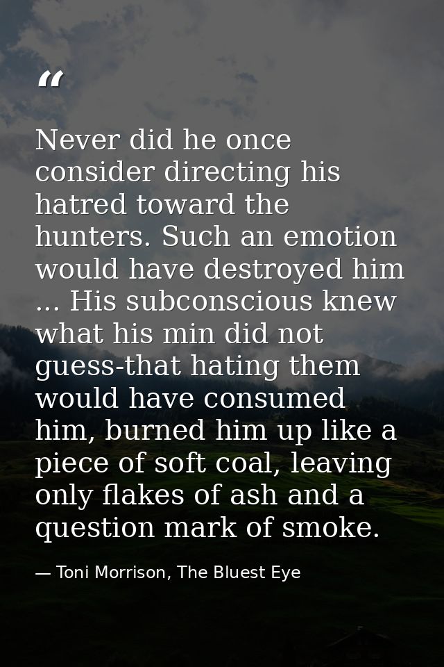 Never did he once consider directing his hatred toward the hunters. Such an emotion would have destroyed him ... His sub — Toni Morrison, The Bluest Eye