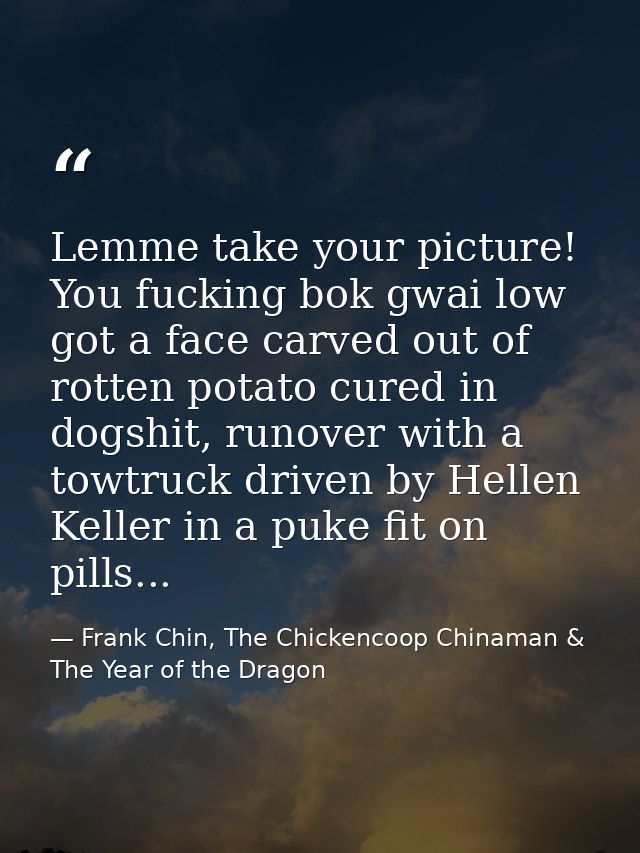 Lemme take your picture! You fucking bok gwai low got a face carved out of rotten potato cured in dogshit, runover with  — Frank Chin, The Chickencoop Chinaman & The Year of the Dragon