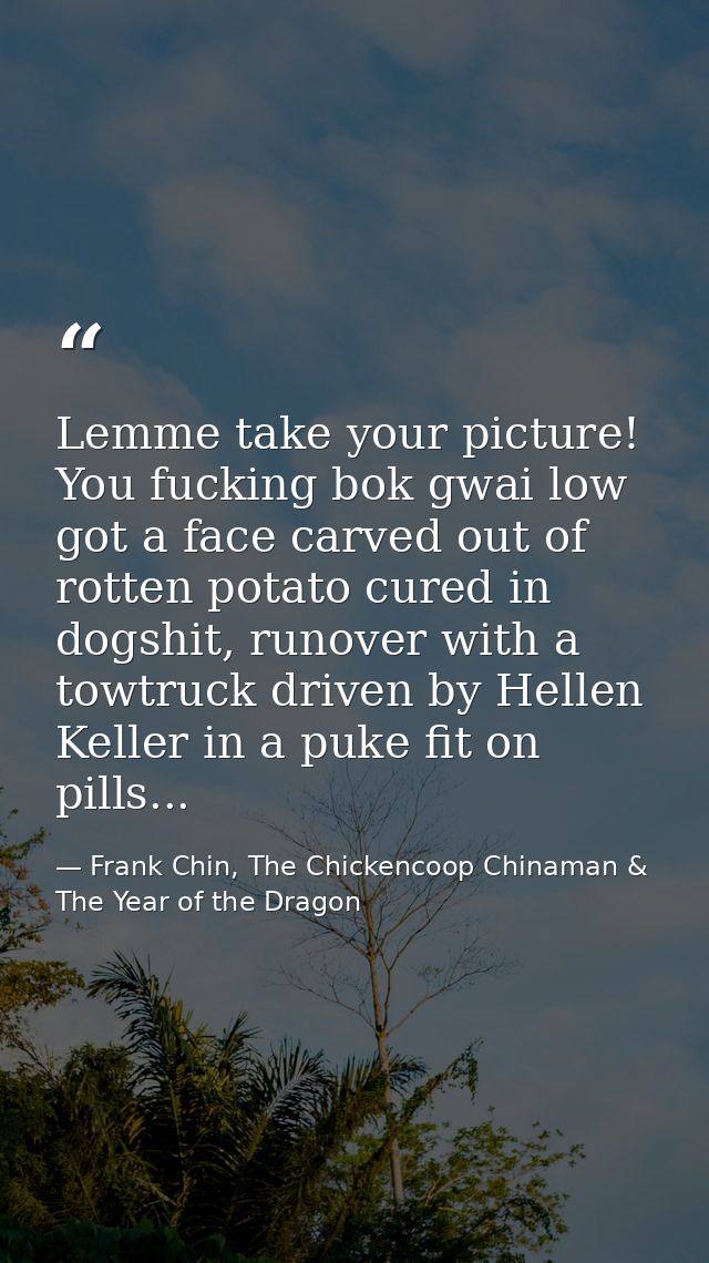 Lemme take your picture! You fucking bok gwai low got a face carved out of rotten potato cured in dogshit, runover with  — Frank Chin, The Chickencoop Chinaman & The Year of the Dragon