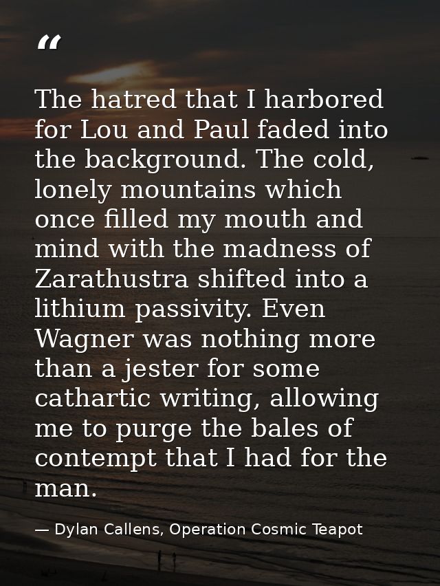 The hatred that I harbored for Lou and Paul faded into the background. The cold, lonely mountains which once filled my m — Dylan Callens, Operation Cosmic Teapot