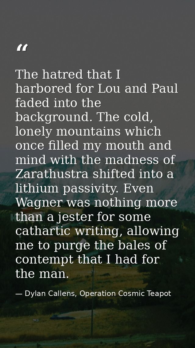 The hatred that I harbored for Lou and Paul faded into the background. The cold, lonely mountains which once filled my m — Dylan Callens, Operation Cosmic Teapot