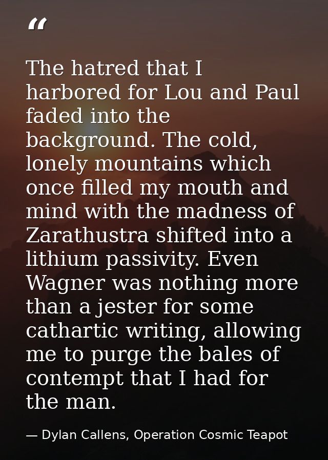 The hatred that I harbored for Lou and Paul faded into the background. The cold, lonely mountains which once filled my m — Dylan Callens, Operation Cosmic Teapot