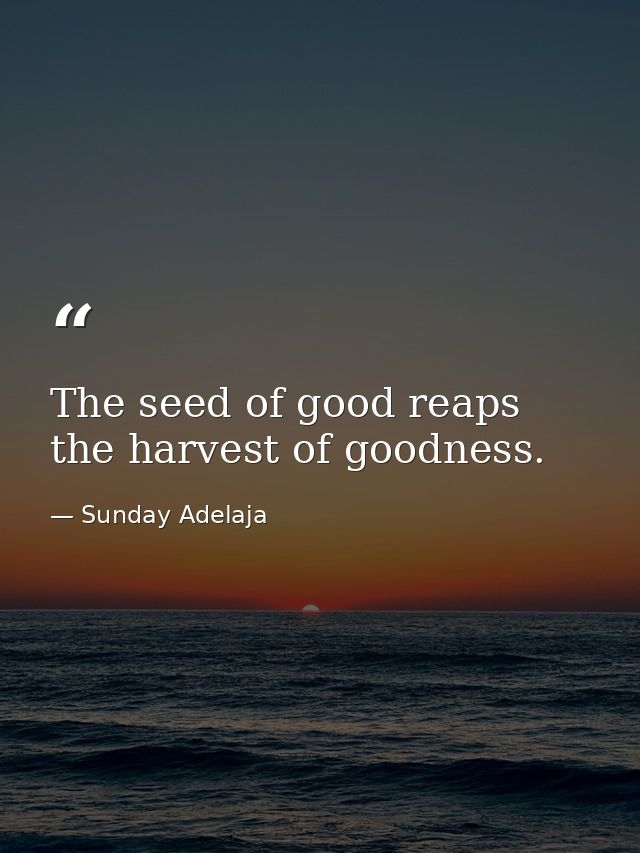 The seed of good reaps the harvest of goodness. — Sunday Adelaja