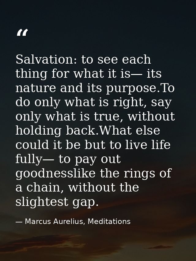 Salvation: to see each thing for what it is— its nature and its purpose.To do only what is right, say only what is true, — Marcus Aurelius, Meditations