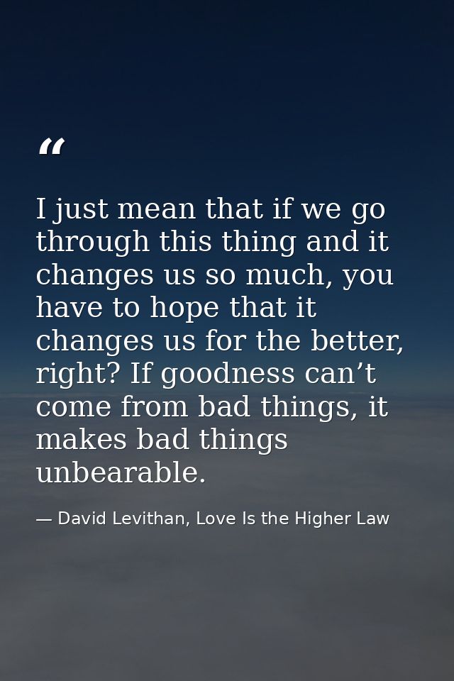 I just mean that if we go through this thing and it changes us so much, you have to hope that it changes us for the bett — David Levithan, Love Is the Higher Law
