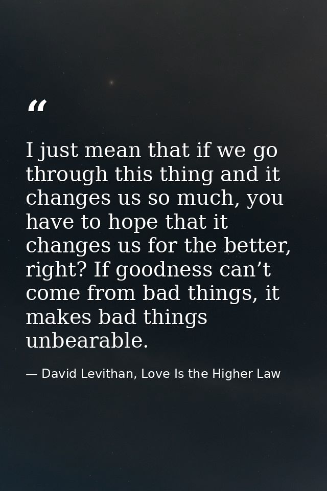 I just mean that if we go through this thing and it changes us so much, you have to hope that it changes us for the bett — David Levithan, Love Is the Higher Law