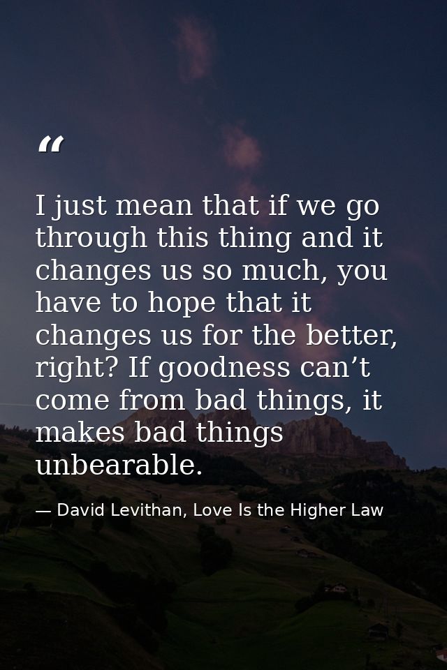 I just mean that if we go through this thing and it changes us so much, you have to hope that it changes us for the bett — David Levithan, Love Is the Higher Law