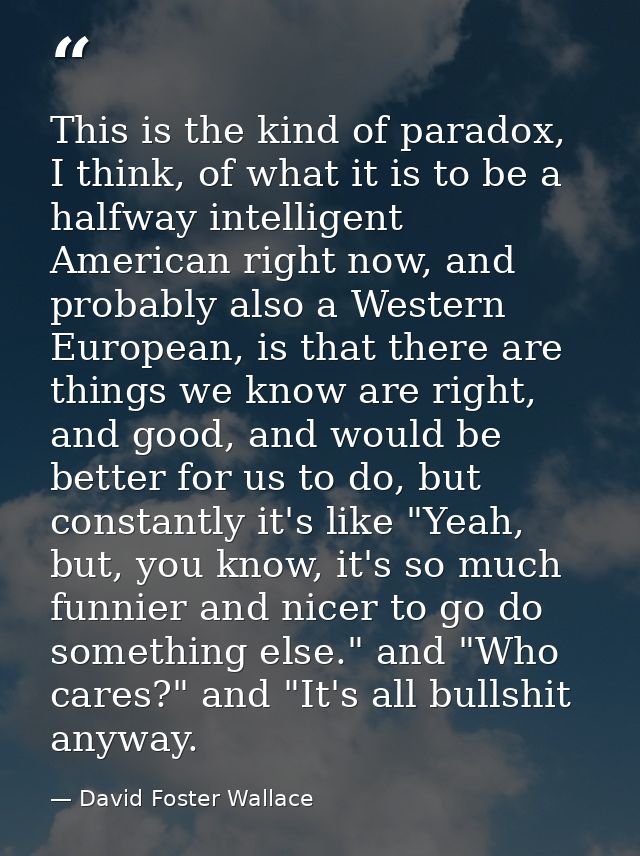 This is the kind of paradox, I think, of what it is to be a halfway intelligent American right now, and probably also a  — David Foster Wallace