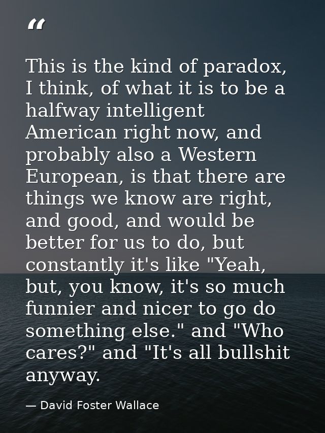 This is the kind of paradox, I think, of what it is to be a halfway intelligent American right now, and probably also a  — David Foster Wallace