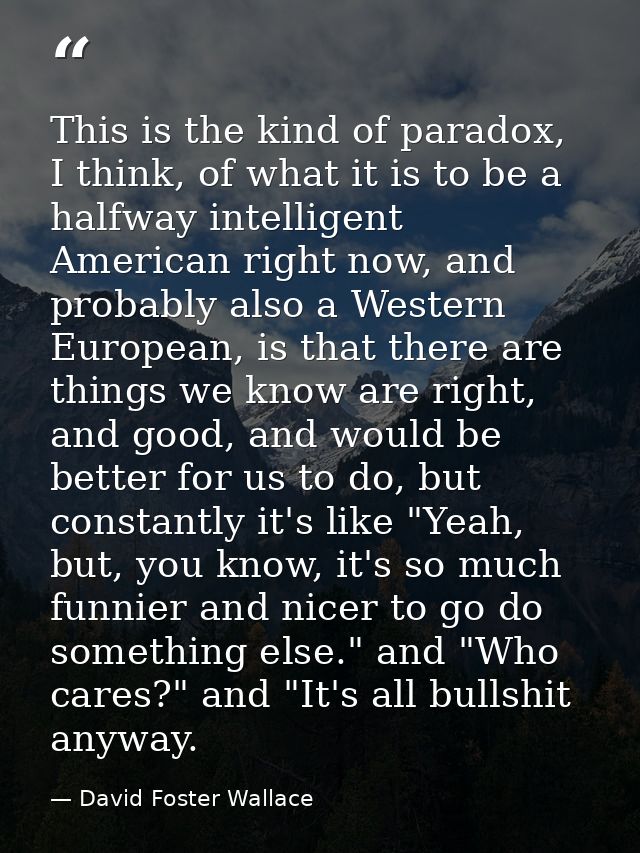 This is the kind of paradox, I think, of what it is to be a halfway intelligent American right now, and probably also a  — David Foster Wallace
