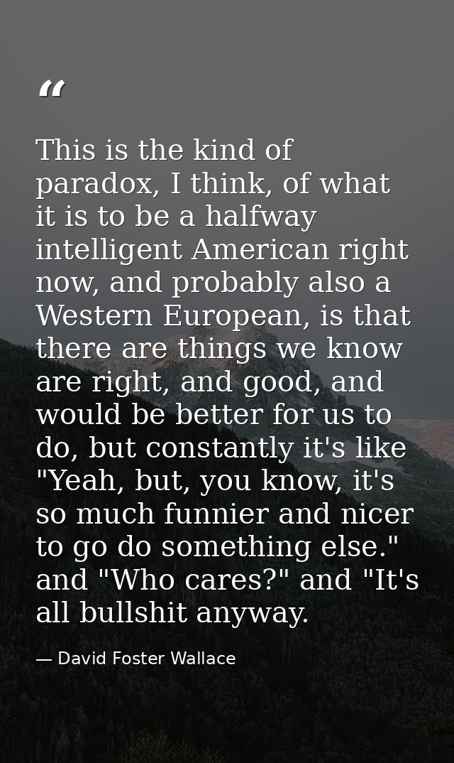 This is the kind of paradox, I think, of what it is to be a halfway intelligent American right now, and probably also a  — David Foster Wallace