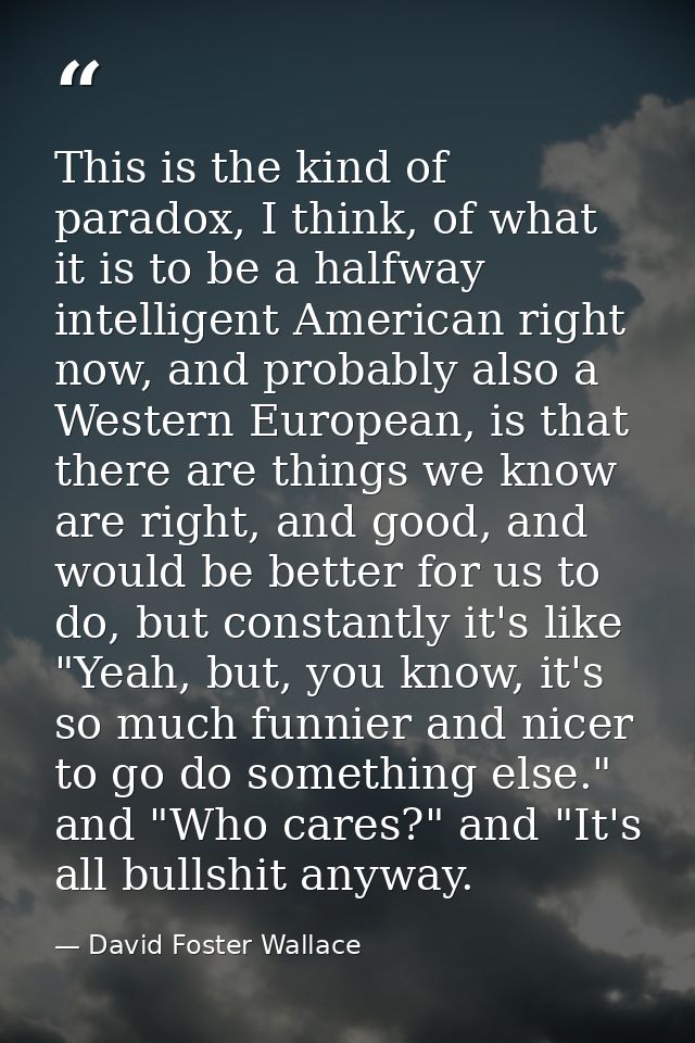 This is the kind of paradox, I think, of what it is to be a halfway intelligent American right now, and probably also a  — David Foster Wallace