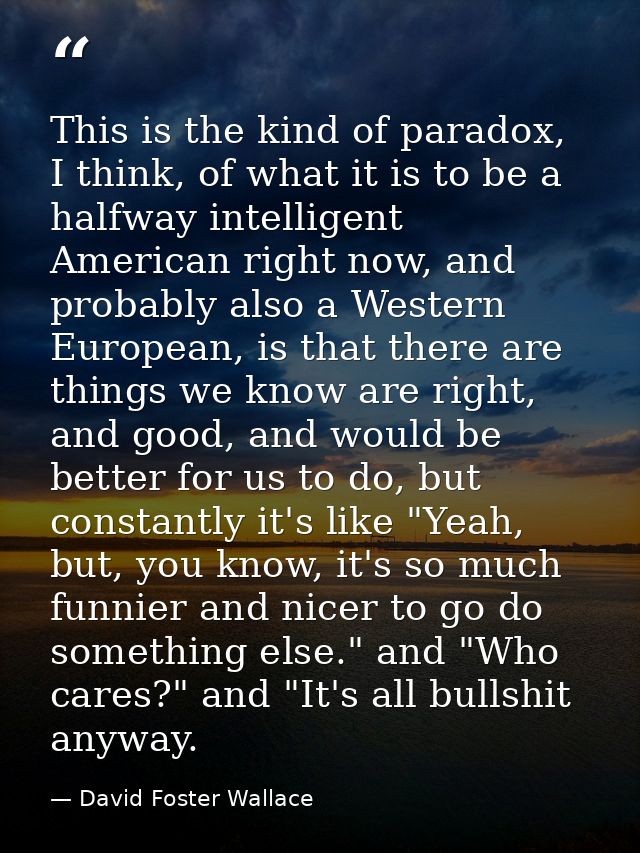 This is the kind of paradox, I think, of what it is to be a halfway intelligent American right now, and probably also a  — David Foster Wallace