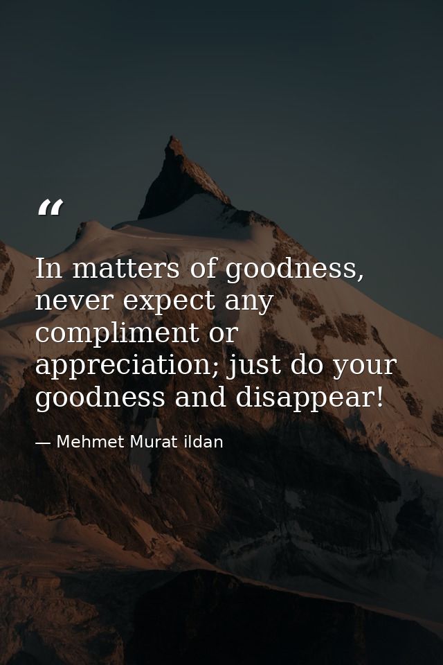 In matters of goodness, never expect any compliment or appreciation; just do your goodness and disappear! — Mehmet Murat ildan